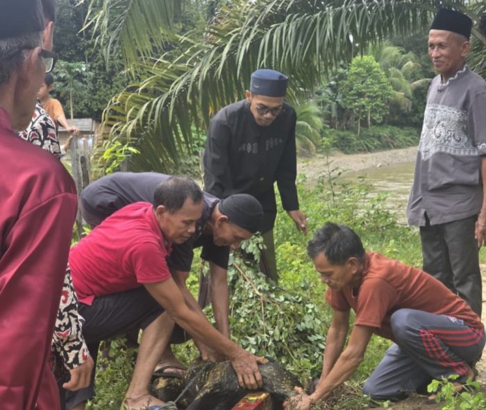 Semangat Ukhuwah Islamiyah Warnai Pelaksanaan Kurban di Masjid Nurul Falah Tebing Tinggi Uleh