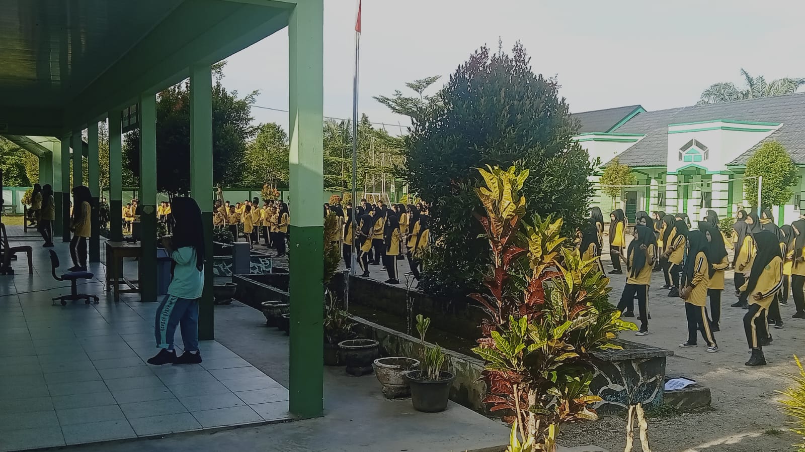 Senam Kebugaran Jasmani di MTs Negeri 7 Bungo Tampil Semangat dan Memukau